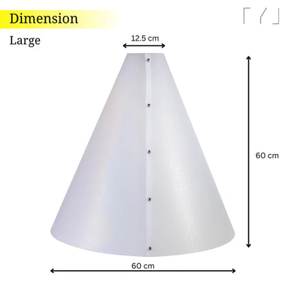 TYL Anti-reflection light cone dimensions